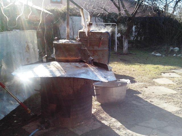 pregatiri pentru sezonul 2014  - atractant de pere